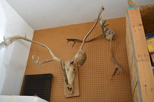 Property photo 30 - Personal Property Auction, Tractor & Implements, Cars, Lawn & Garden, Hunting & Fishing, Guns, Antiques & Collectibles, Household